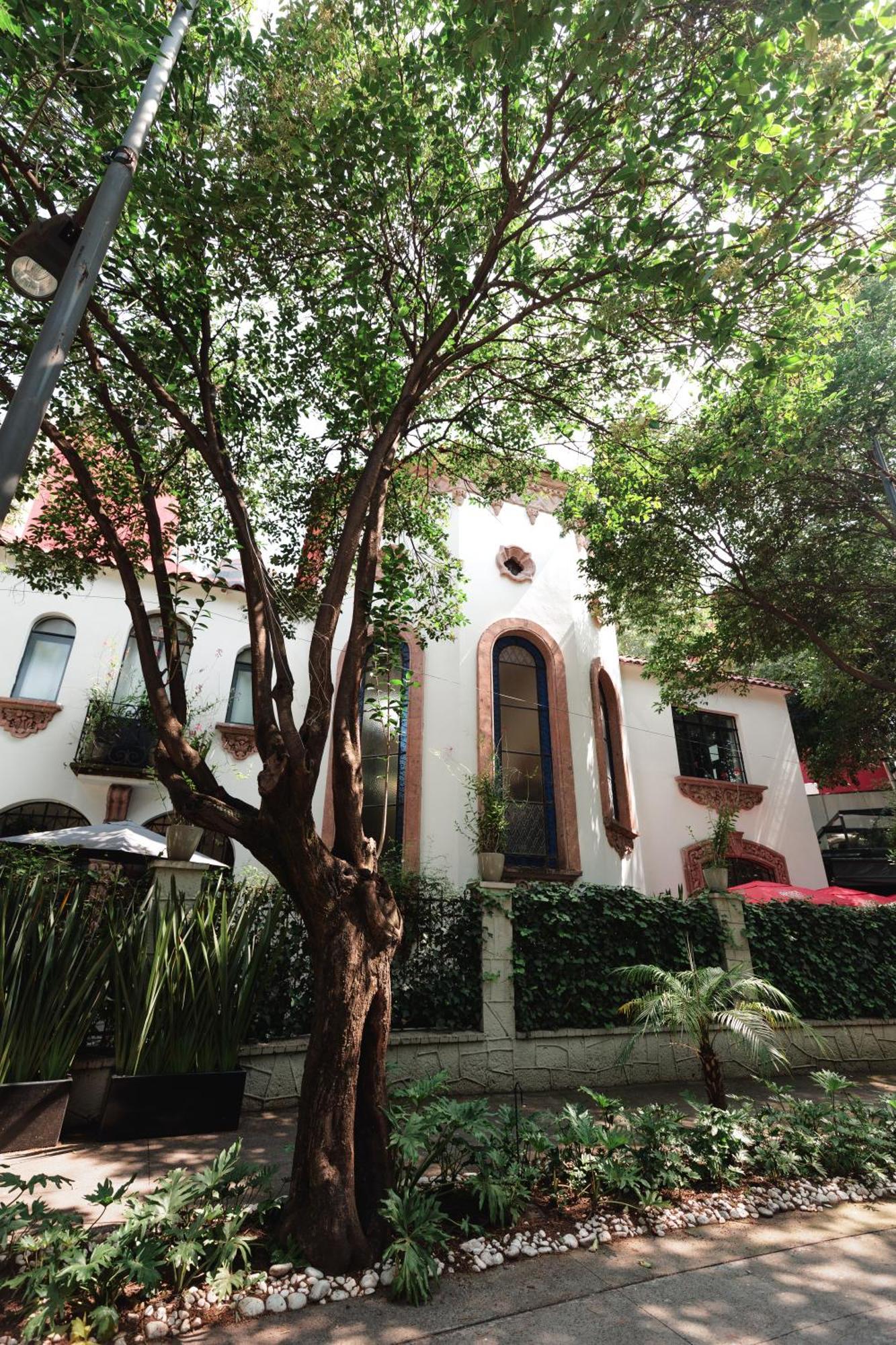 Hotel Orchid House Polanco Ciudad de México Exteriér fotografie