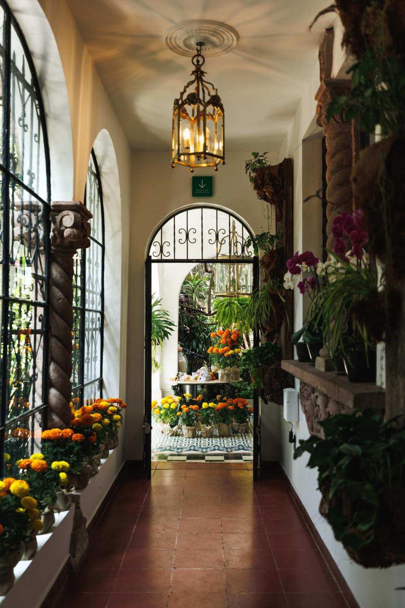 Hotel Orchid House Polanco Ciudad de México Exteriér fotografie