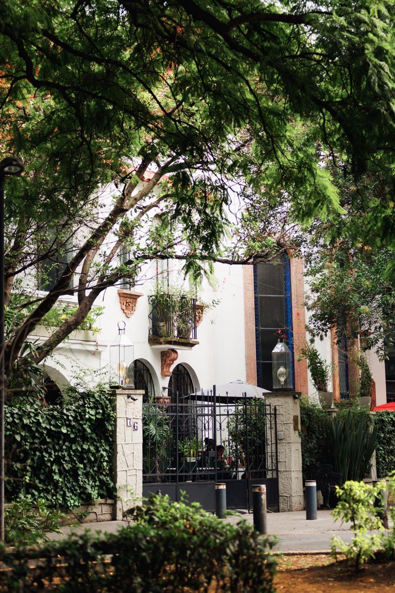 Hotel Orchid House Polanco Ciudad de México Exteriér fotografie