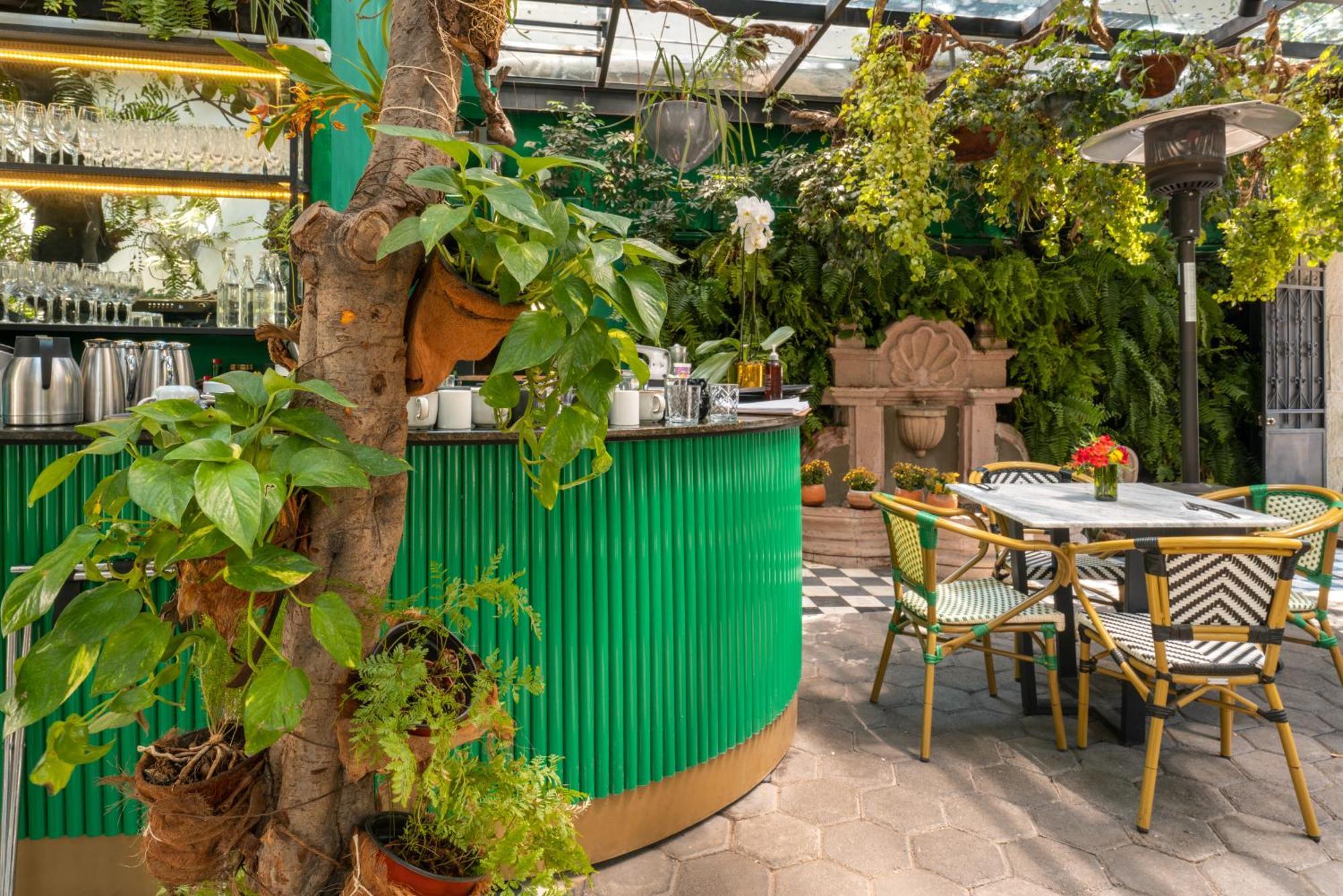Hotel Orchid House Polanco Ciudad de México Exteriér fotografie